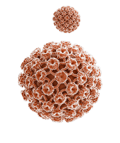 virus 1