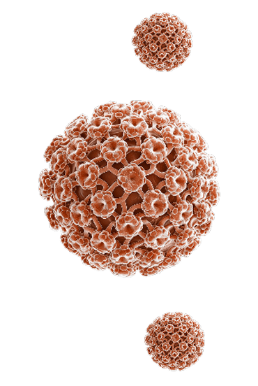 virus 2