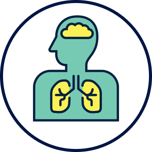 Lung and brain